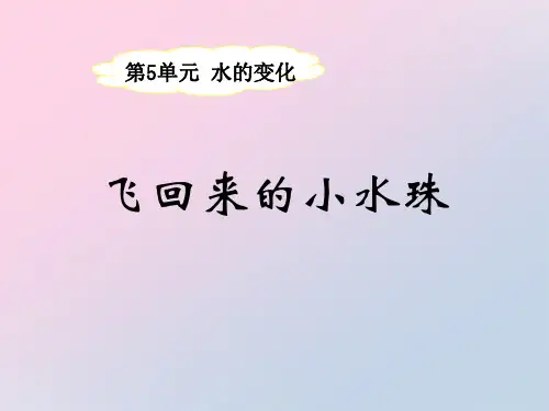 2021年《飞回来的小水珠》水的变化PPT课件文档