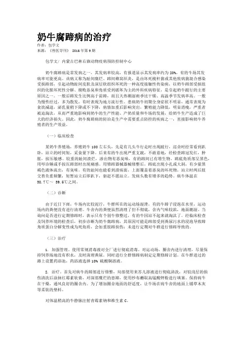 奶牛腐蹄病的治疗