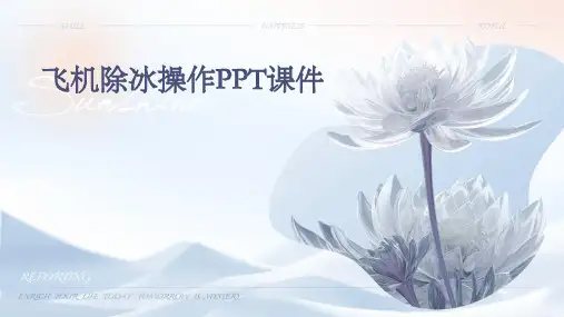 飞机除冰操作ppt课件