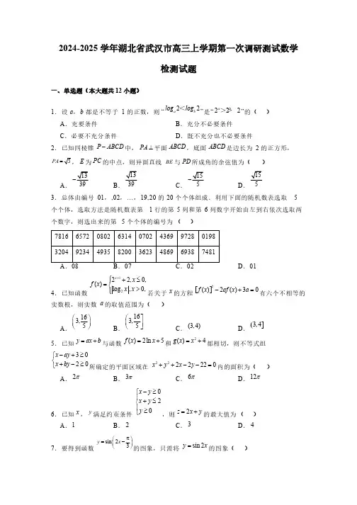 2024-2025学年湖北省武汉市高三上学期第一次调研测试数学检测试题(含解析)