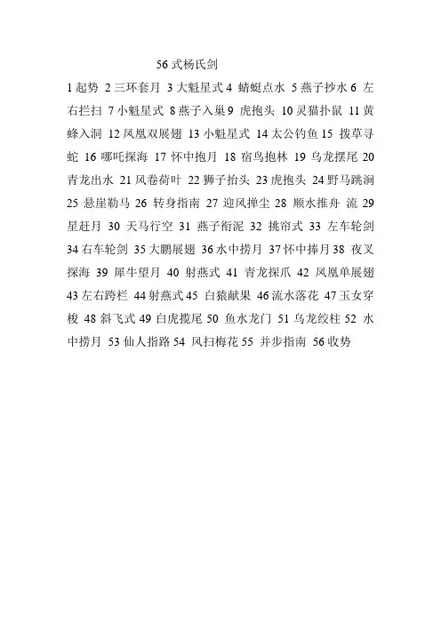56式杨氏剑