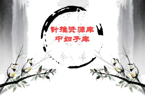 5.辨证论治痛经.