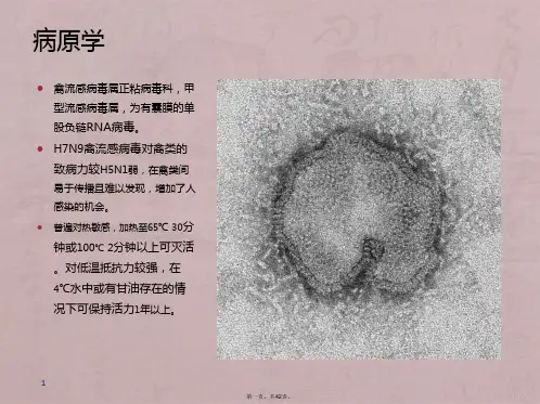 H7N9诊疗方案(2017版)讲解