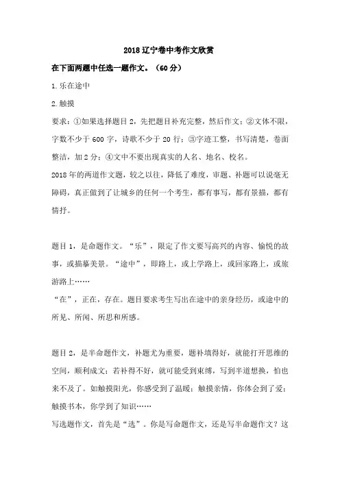 2018年辽宁中考优秀作文赏析
