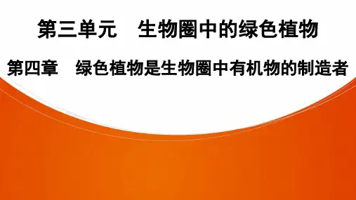 生物七年级上册人教版第3单元 第4章 绿色植物是生物圈中有机物的制造者