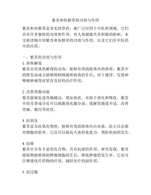 紫苏和鱼腥草的功效与作用