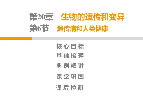 生物北师大版八年级上册第6单元第20章第6节遗传病和人类健康PPT课件