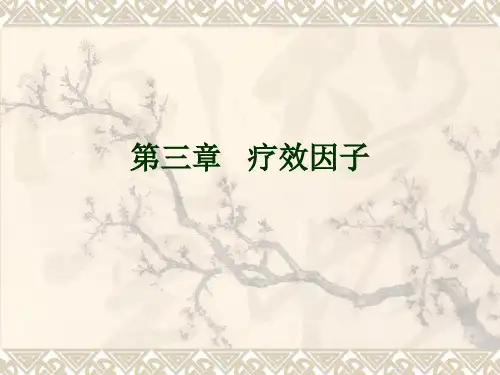 第三章 疗效因子下.ppt