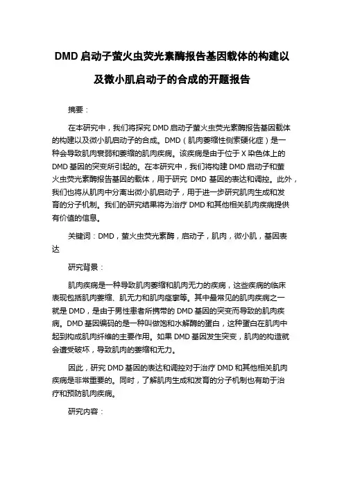 DMD启动子萤火虫荧光素酶报告基因载体的构建以及微小肌启动子的合成的开题报告