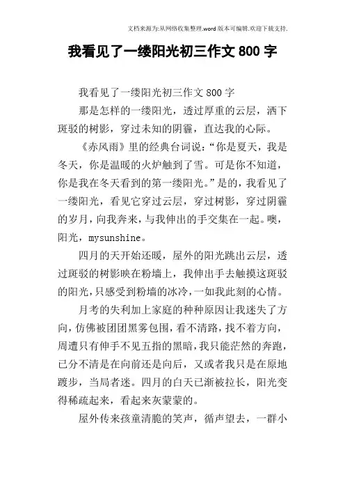 我看见了一缕阳光初三作文800字