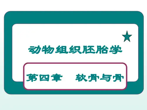 组织胚胎学课件：软骨和骨