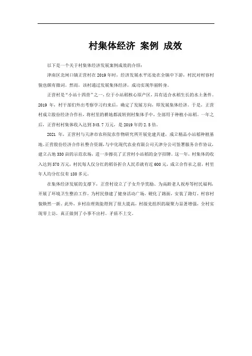 村集体经济 案例 成效