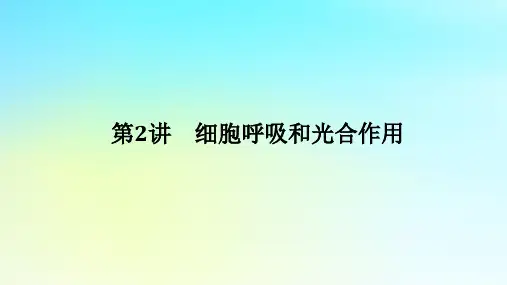 高考生物二轮专题复习专题二生命系统的代谢第2讲细胞呼吸和光合作用课件