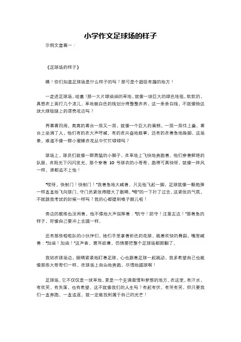 小学作文足球场的样子