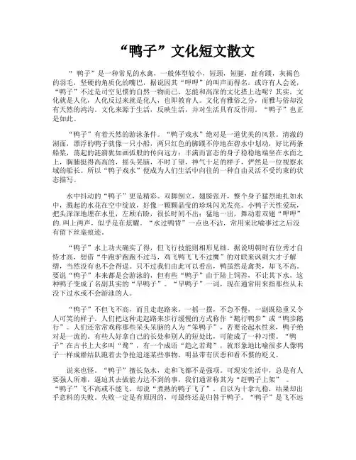 “鸭子”文化短文散文