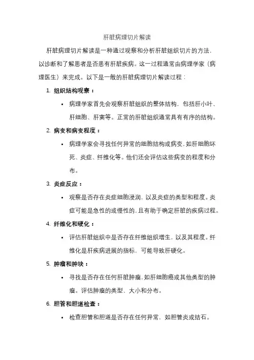 肝脏病理切片解读