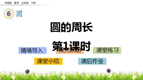 苏教版五年级下册数学《圆的周长》圆PPT课件(第1课时)