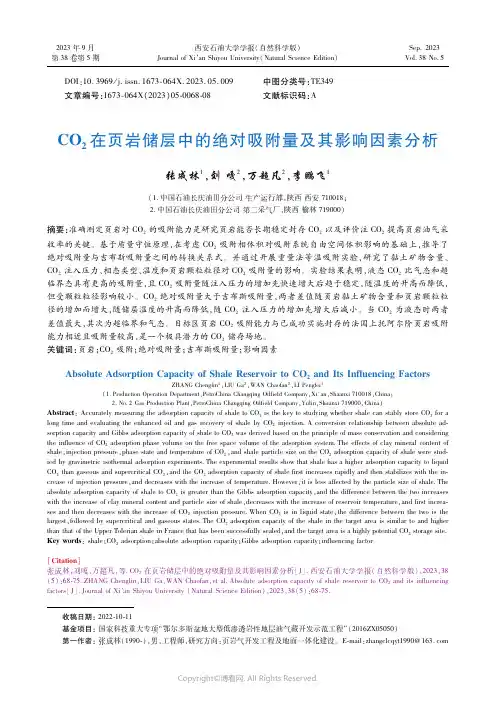 ＣＯ２在页岩储层中的绝对吸附量及其影响因素分析