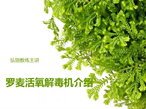 罗麦活氧解毒机介绍