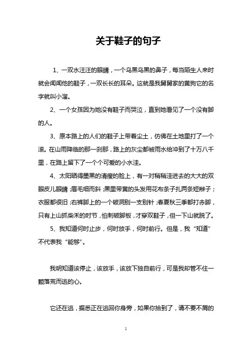 关于鞋子的句子