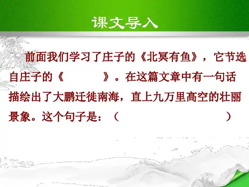 《庄子与惠子游于濠梁之上》优秀PPT课件