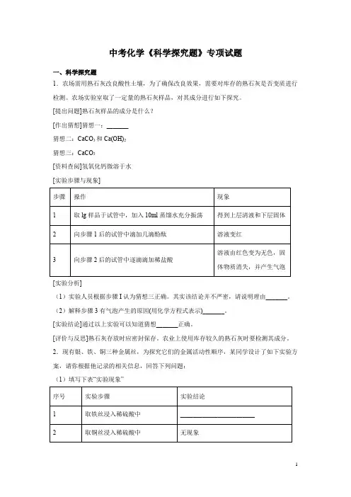 中考化学《科学探究题》专项试题附答案