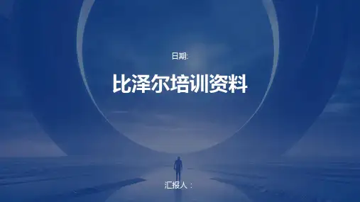 比泽尔培训资料