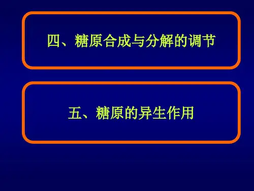 生物化学2糖原的分解及合成