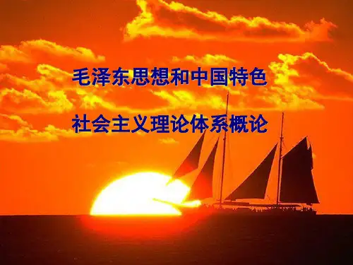 毛概第七章