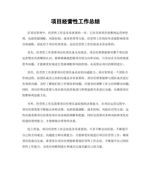 项目经营性工作总结