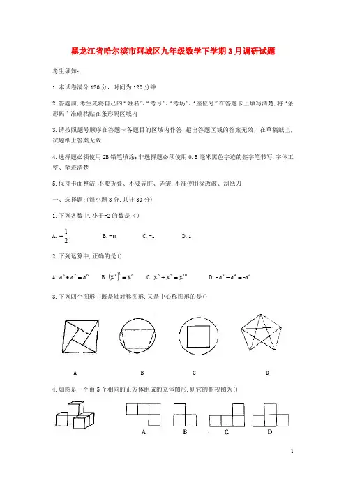 黑龙江省哈尔滨市阿城区九年级数学下学期月调研试题