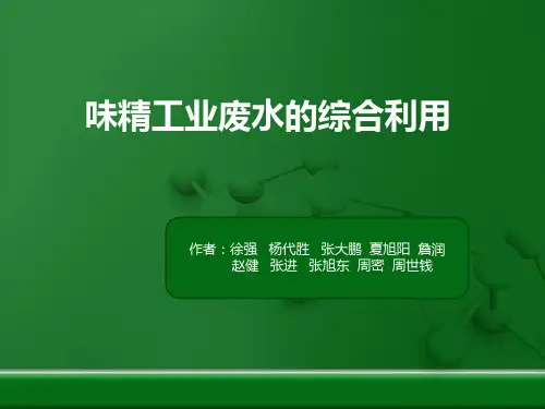 味精的废物利用