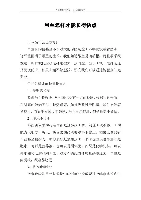 吊兰怎样才能长得快点