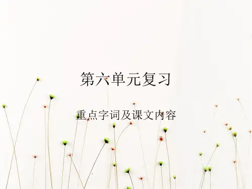 人教版四年级上册语文第六单元字词句以及课文内容复习
