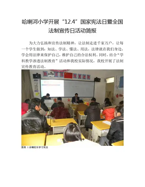 哈喇河小学开展宪法学习简报