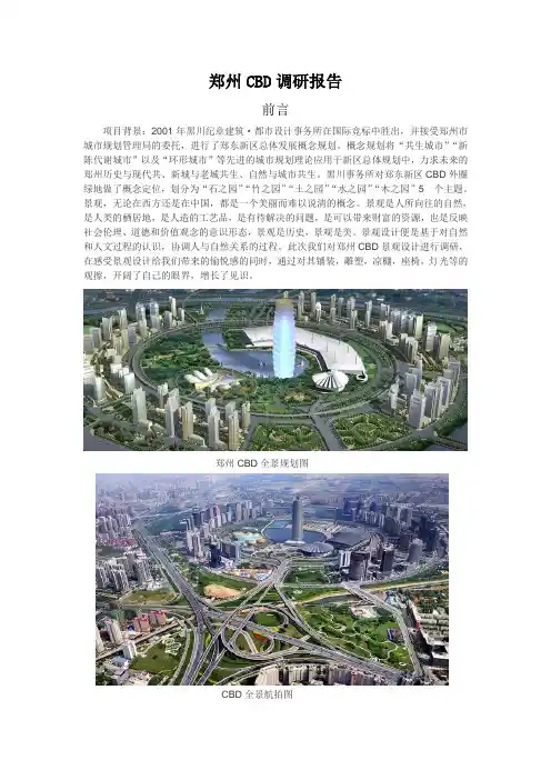 CBD调研报告