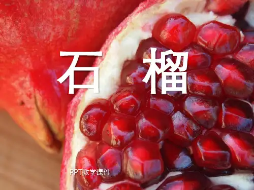 国标本苏教版三年级上册语文《石榴》下载PPT课件