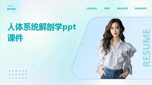 人体系统解剖学课件