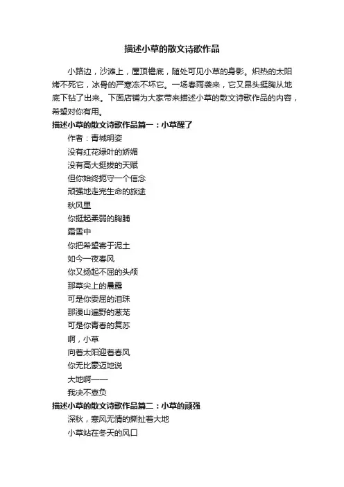 描述小草的散文诗歌作品