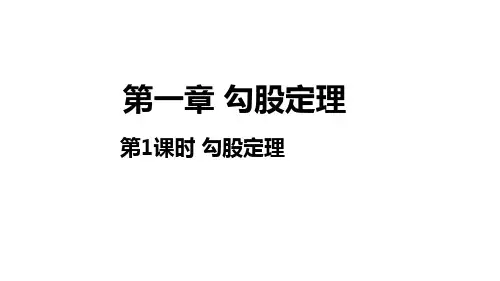 北师大版数学八年级上册：1.1勾股定理第一课时(共24张PPT)