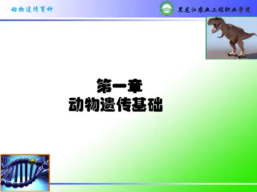 动物遗传育种--动物遗传基础