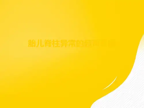 【优秀文档】胎儿脊柱异常的超声诊断 PPT