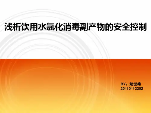 饮用水消毒副产物安全控制