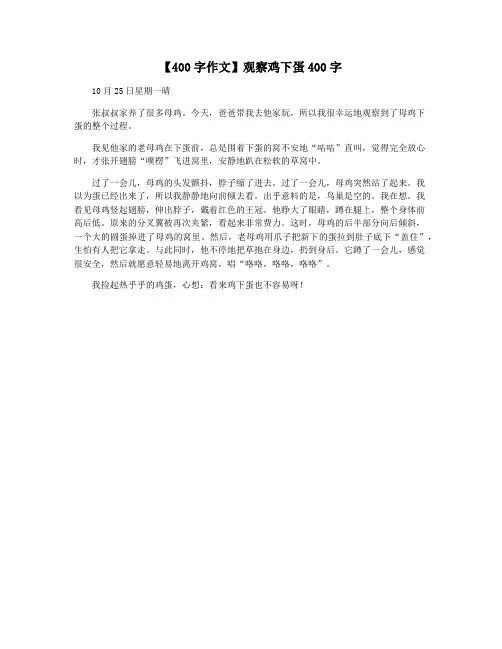 【400字作文】观察鸡下蛋400字