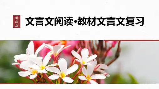 高考一轮复习语文课件(新高考人教版)板块五 文言文阅读22 《劝学》《师说》