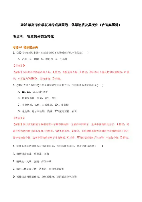 2025年高考化学复习考点巩固卷—化学物质及其变化(含答案解析)
