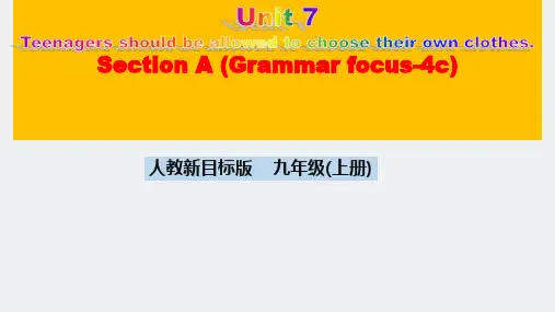 Unit 7  Section A Grammar focus~4c 课件 -人教版九年级英语全册