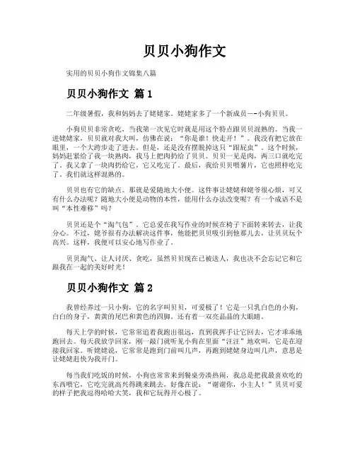 贝贝小狗作文