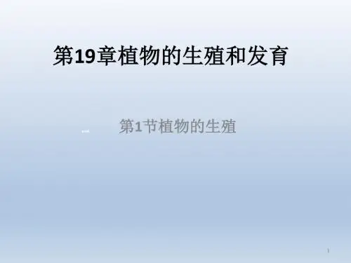最新苏科版八年级生物上册《19.1植物的生殖》课件