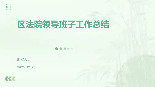区法院领导班子工作总结